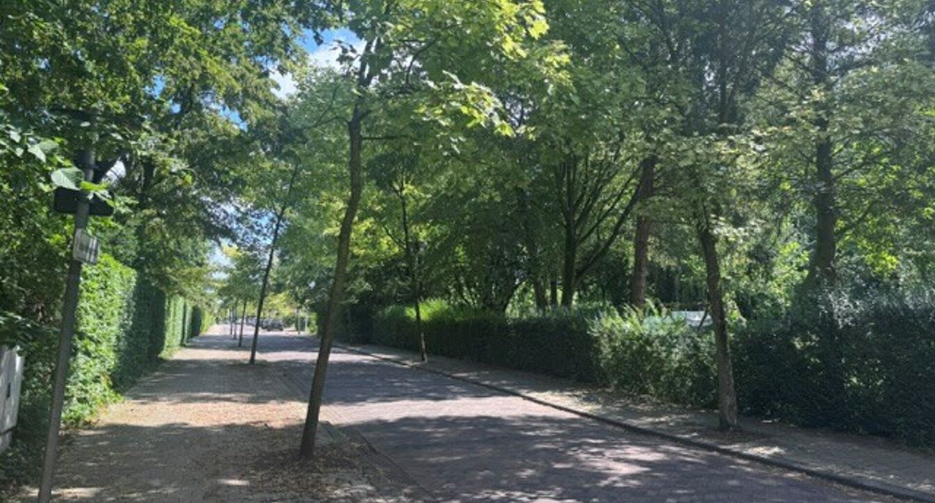 Woonerf Kapellekensbos in Olen
