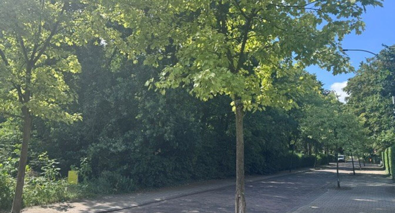 Woonerf Kapellekensbos in Olen