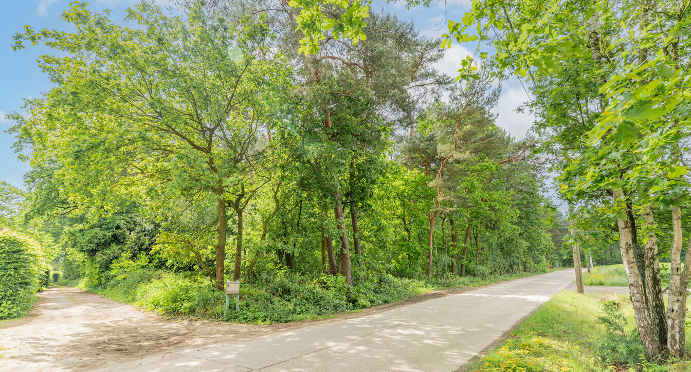 Bos te koop in Kasterlee