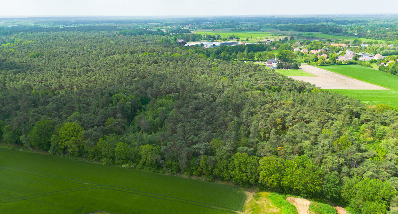 Bos te koop in Kasterlee