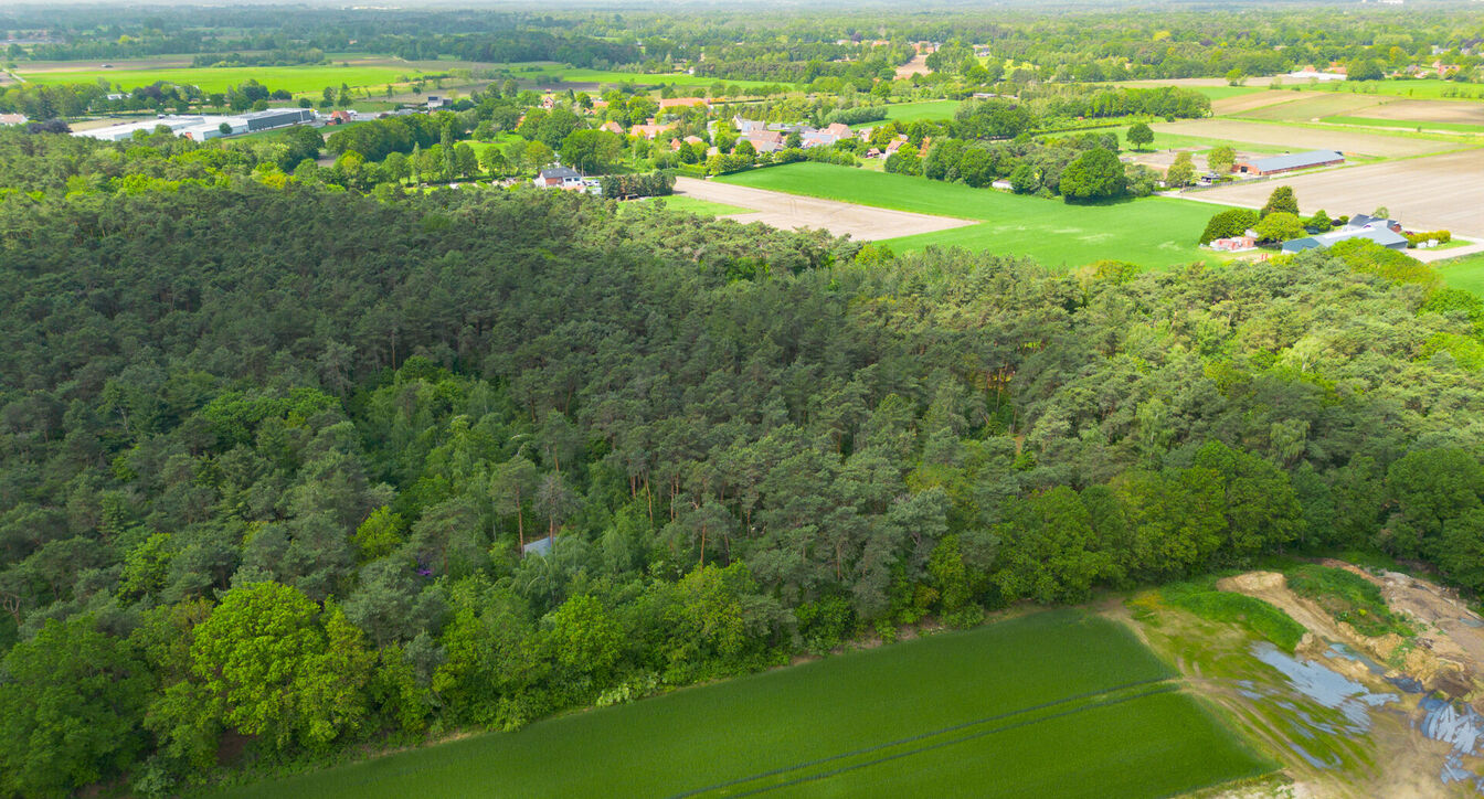 Bos te koop in Kasterlee