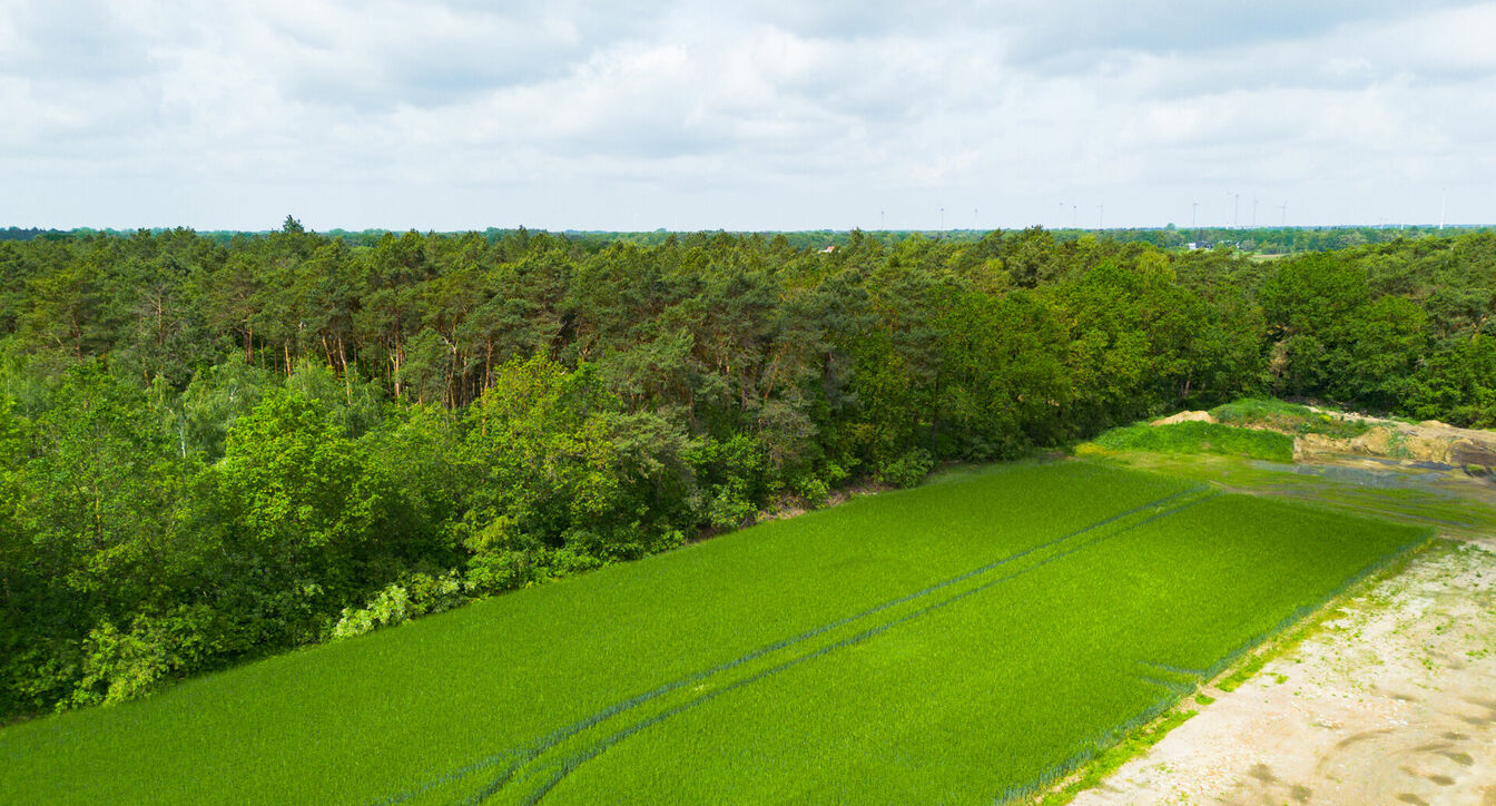 Bos te koop in Kasterlee