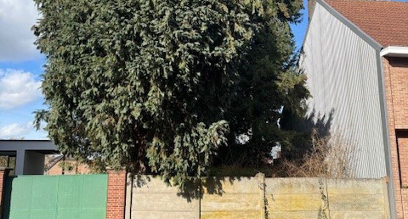 Bouwgrond (projecten) te koop in Vosselaar