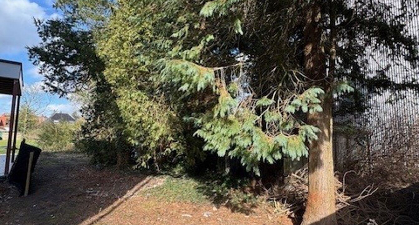 Bouwgrond (projecten) te koop in Vosselaar