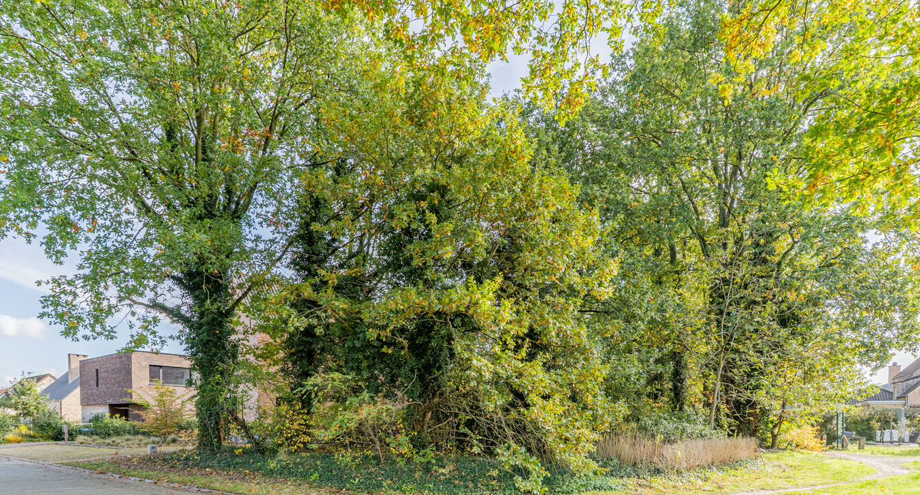 Bouwgrond te koop in Mol