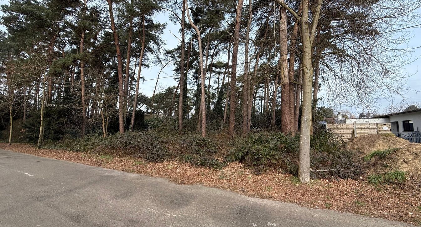 Bouwgrond te koop in Mol