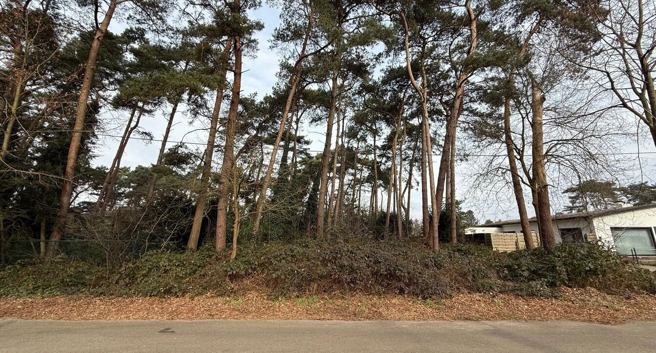 Bouwgrond te koop in Mol