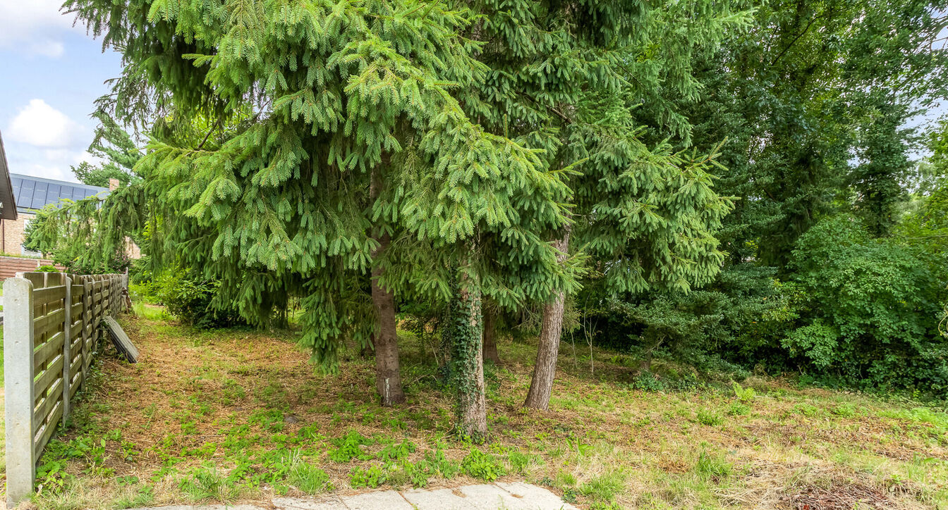 Charmant huis te koop in Retie