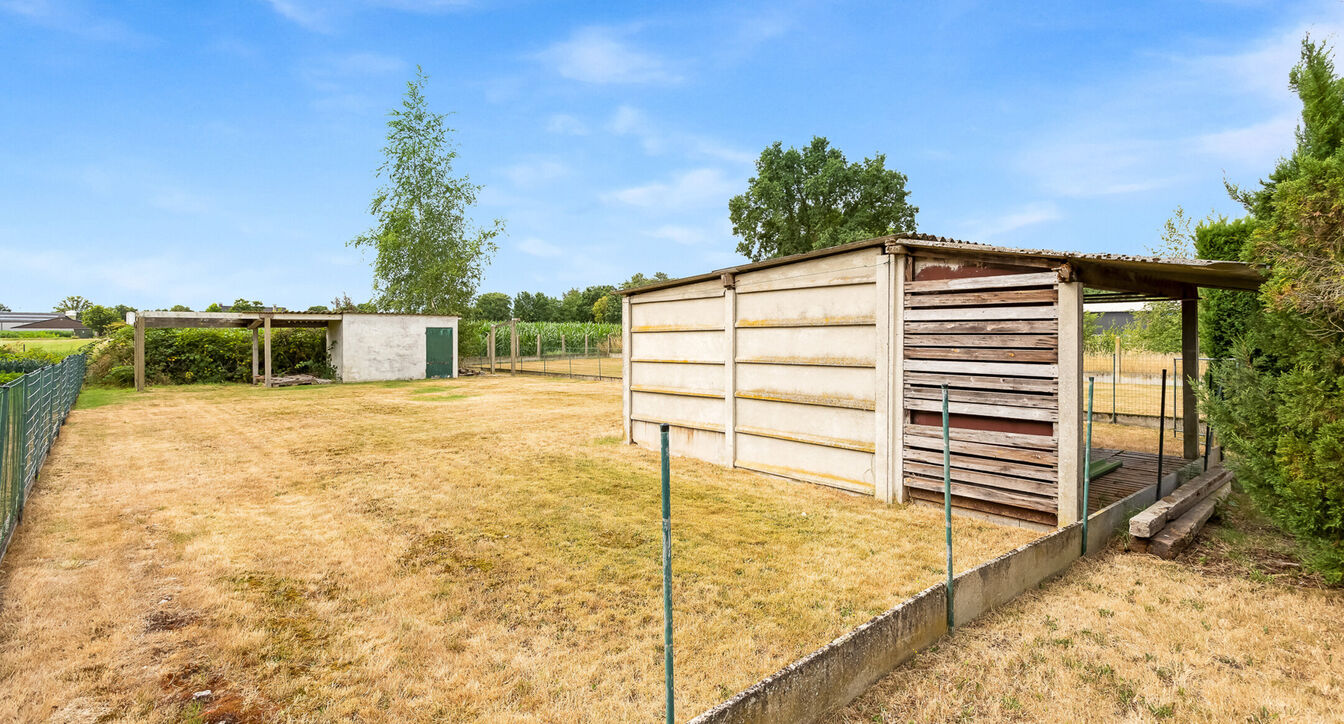 Eengezinswoning te huur in Dessel