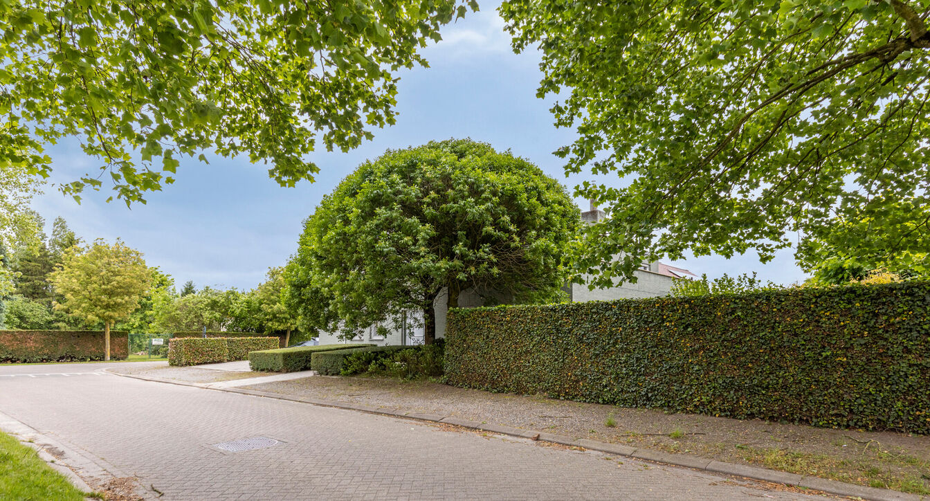 Gebouw voor gemengd gebruik te koop in Hoogstraten