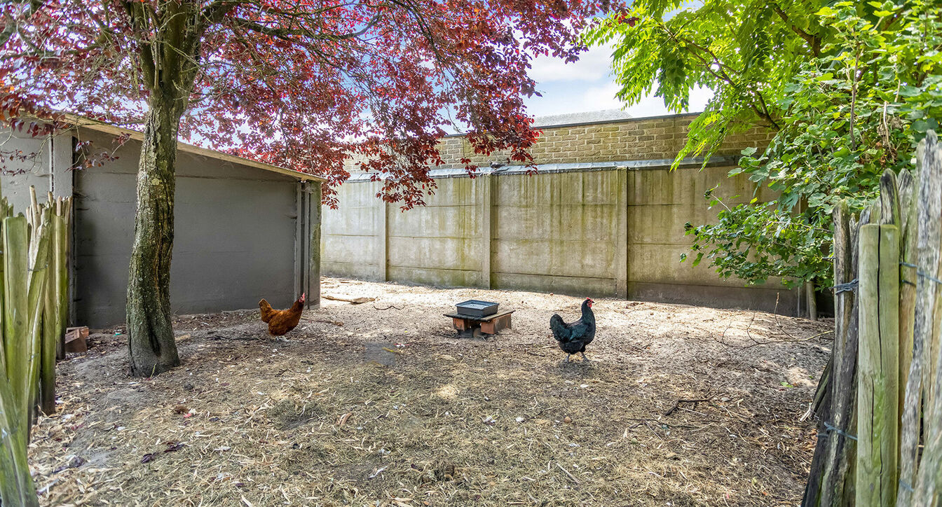 Gebouw voor gemengd gebruik te koop in Vosselaar