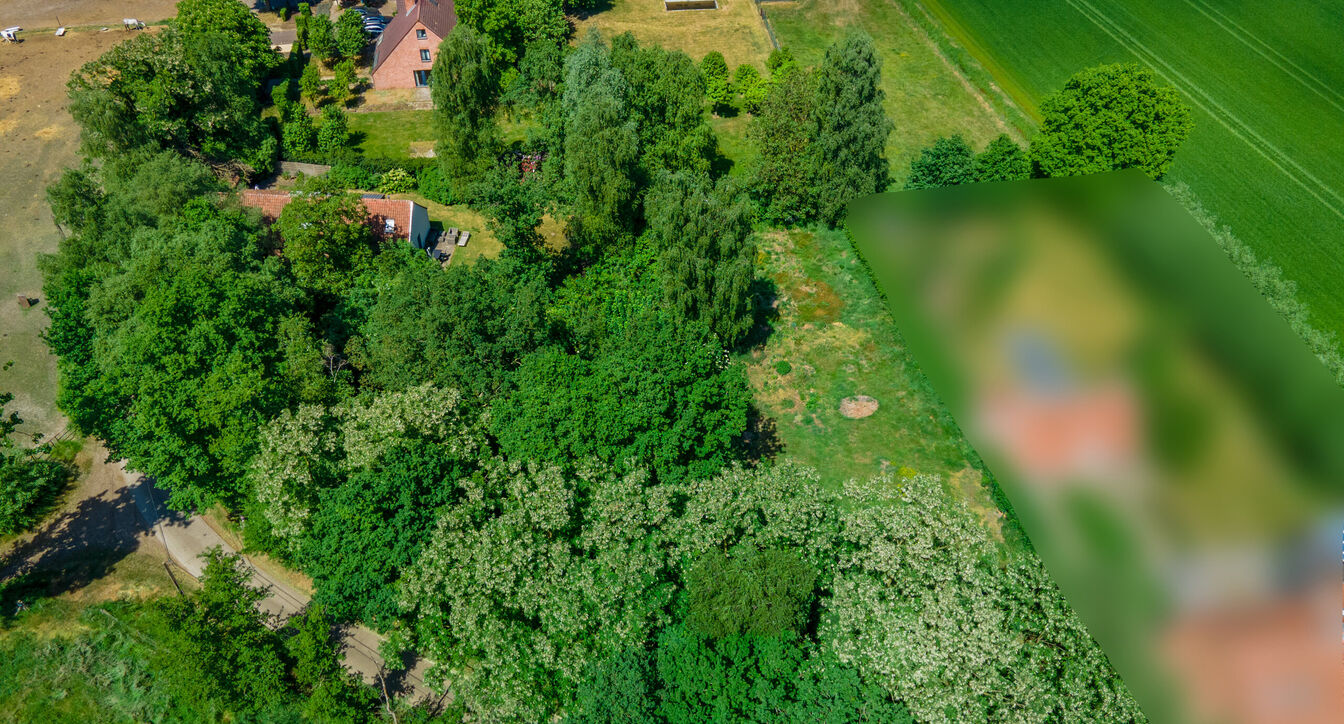 Hoeve te koop in Geel