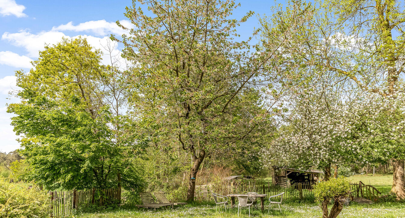 Hoeve te koop in Mol