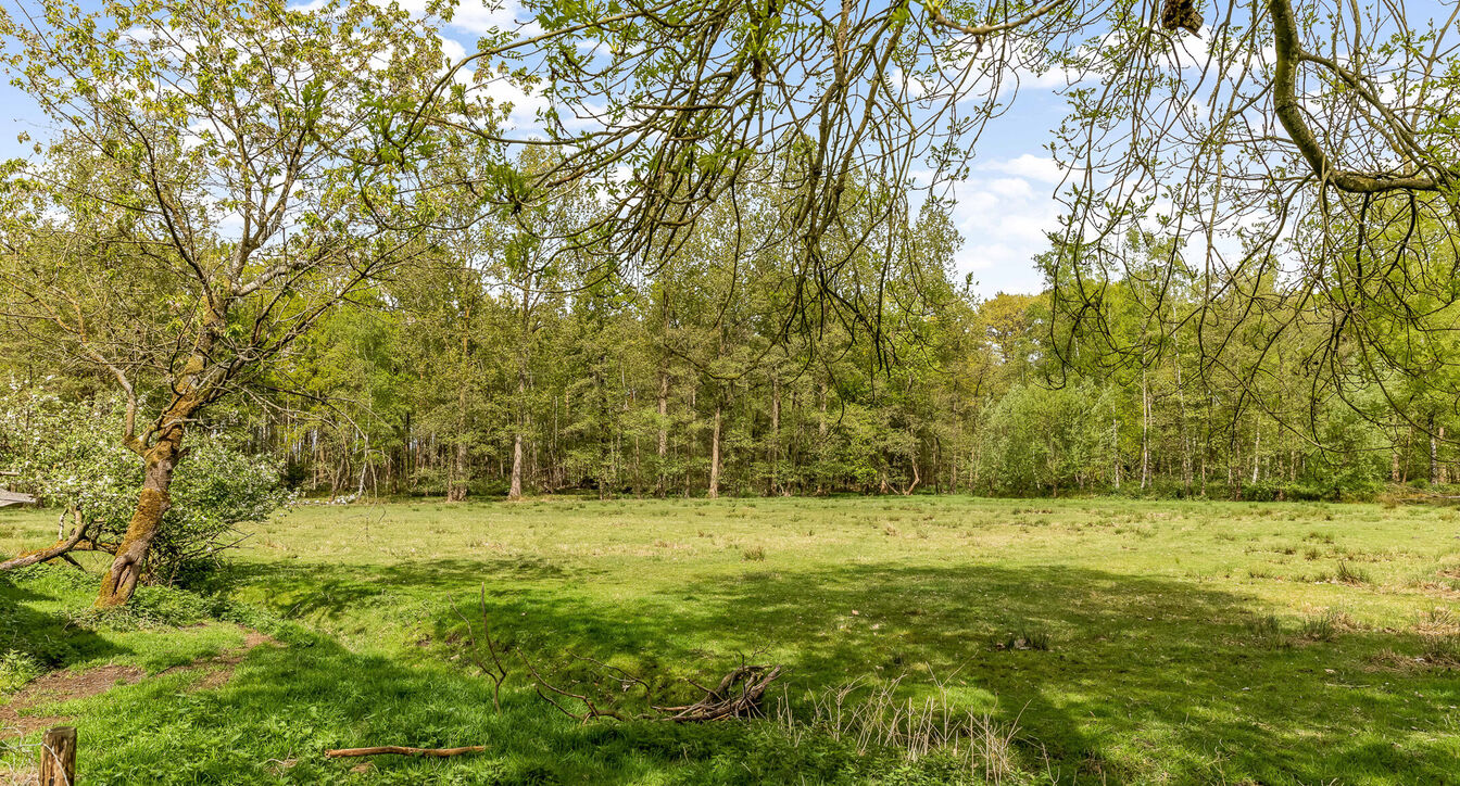 Hoeve te koop in Mol