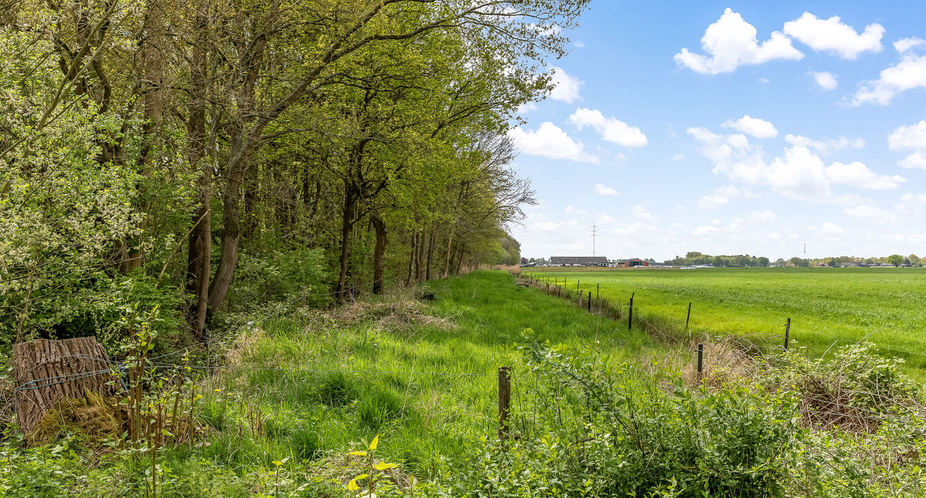 Hoeve te koop in Mol