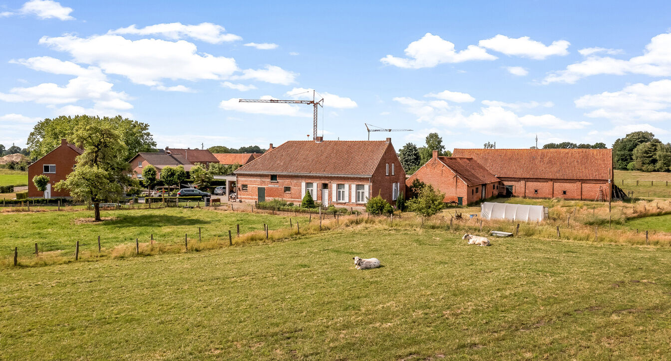 Hoeve te koop in Turnhout