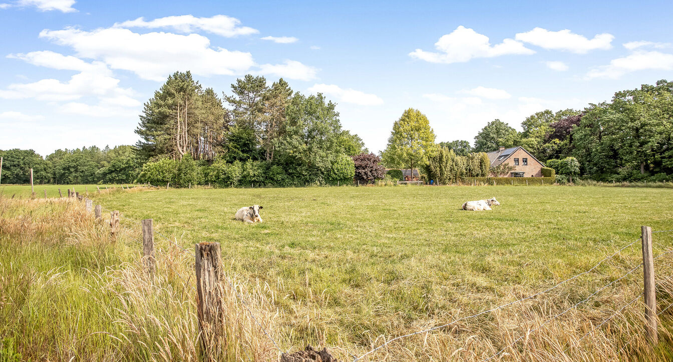 Hoeve te koop in Turnhout