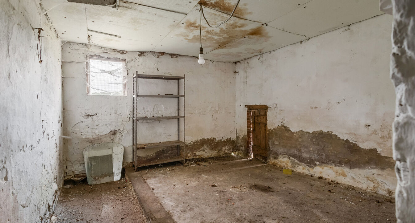 Hoeve te koop in Turnhout
