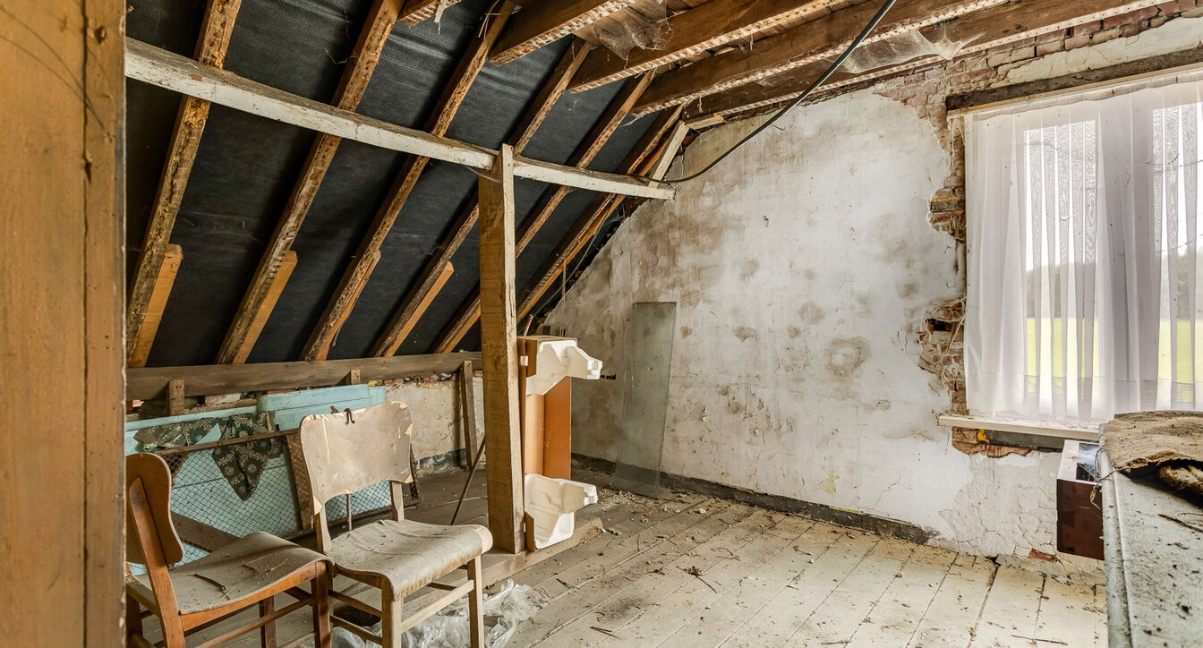 Hoeve te koop in Turnhout