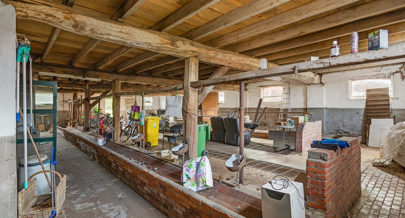 Hoeve te koop in Turnhout
