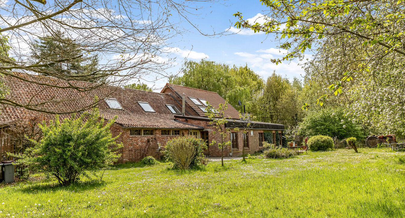 Horeca te koop in Mol