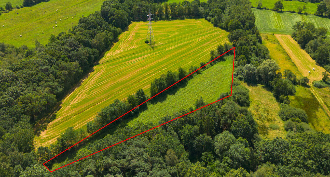 Landbouwgrond te koop in Geel
