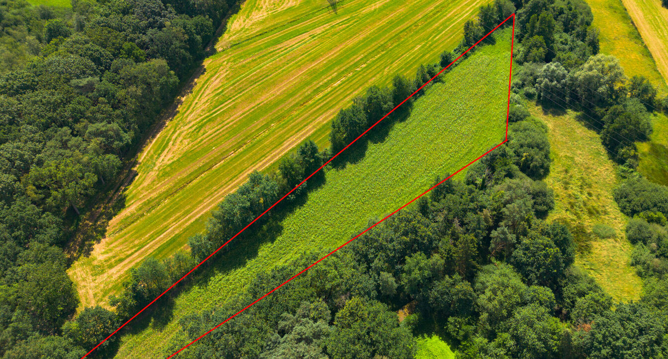 Landbouwgrond te koop in Geel