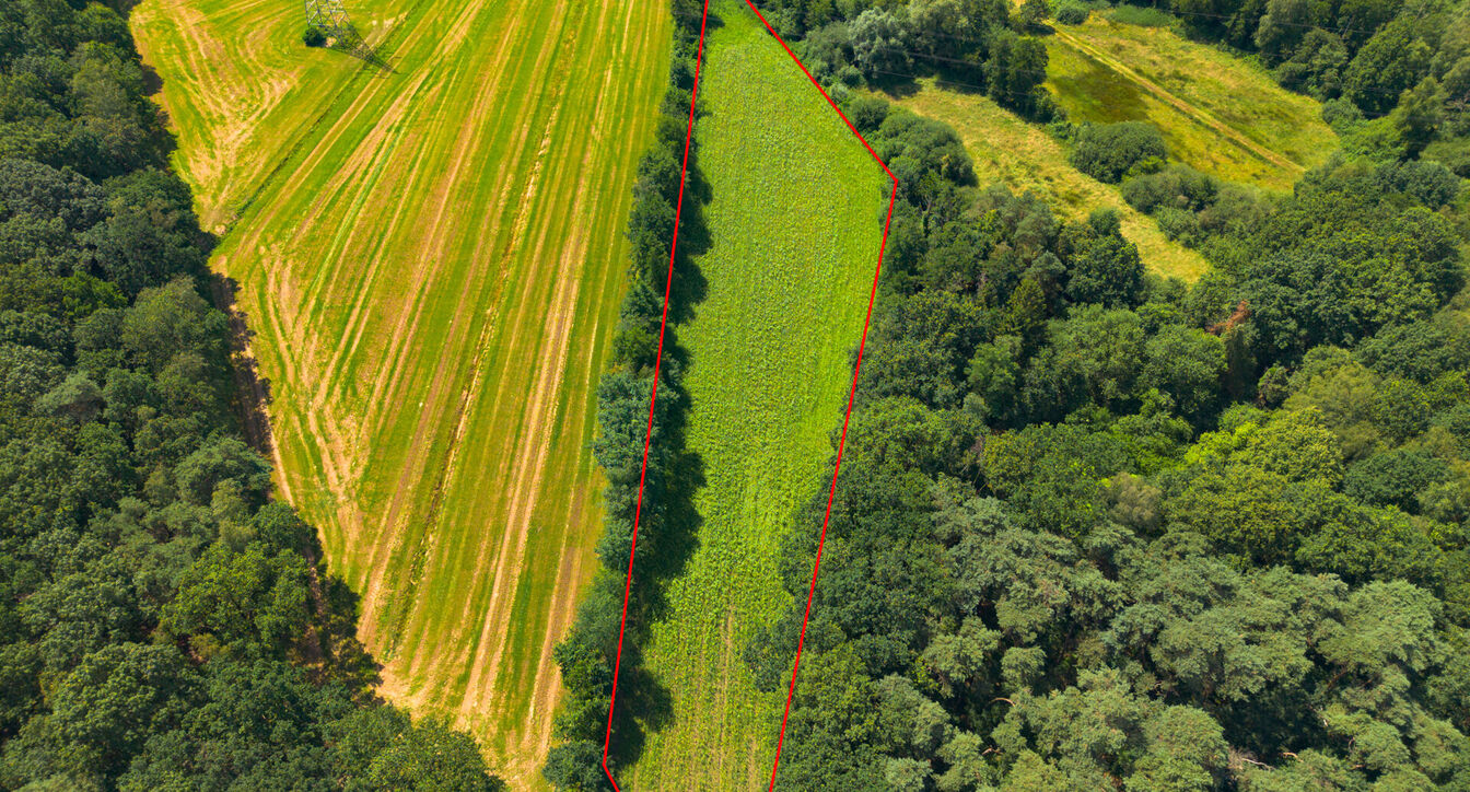 Landbouwgrond te koop in Geel