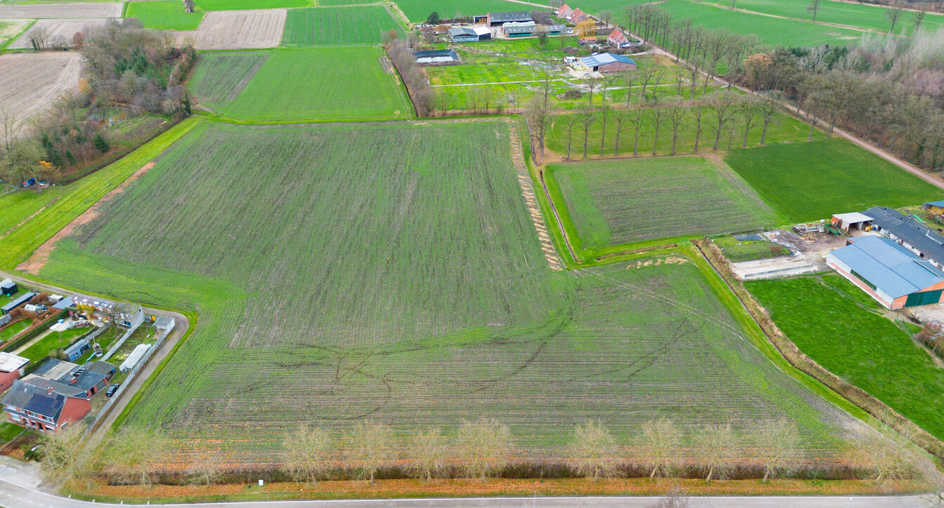 Landbouwgrond te koop in Oud-Turnhout