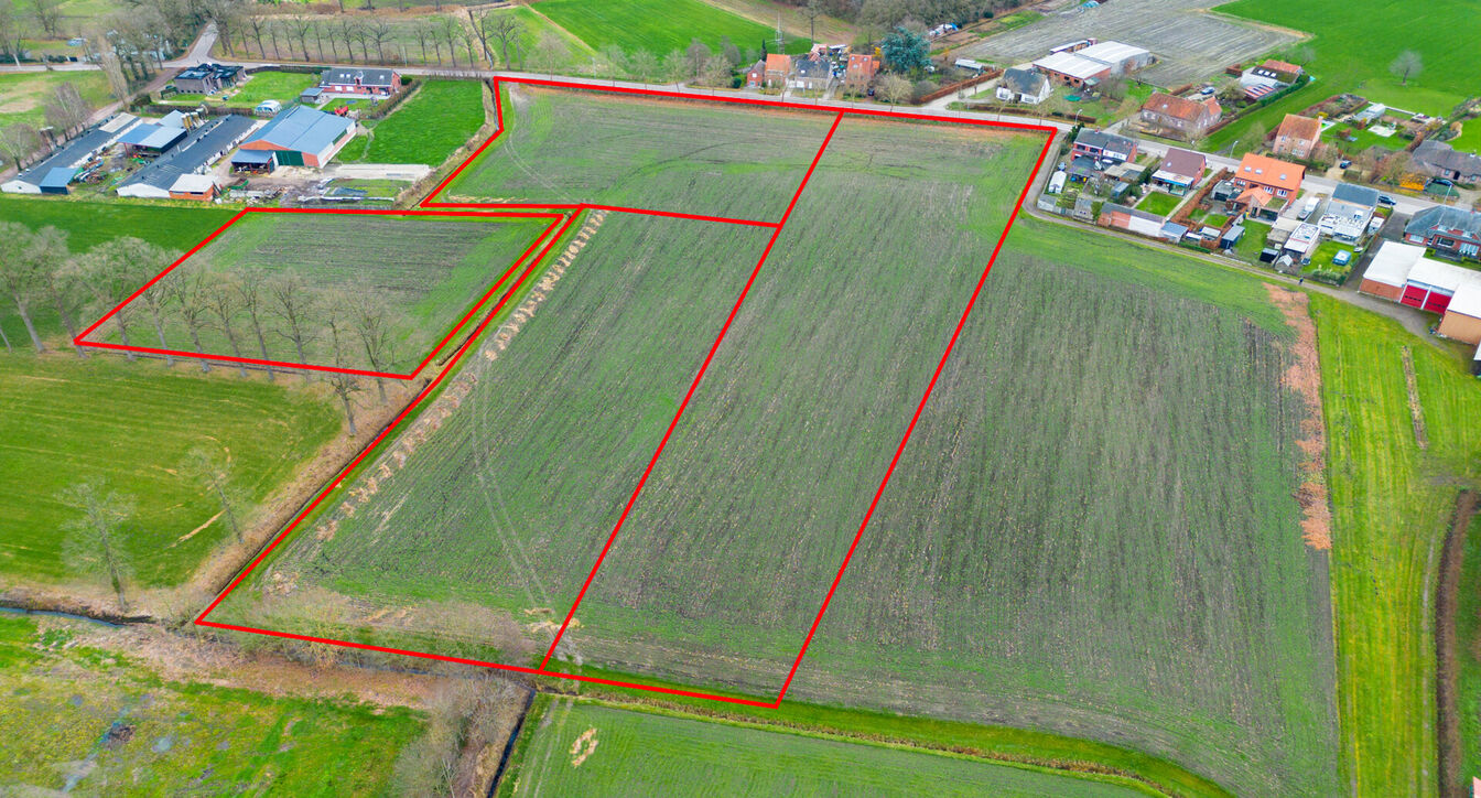 Landbouwgrond te koop in Oud-Turnhout