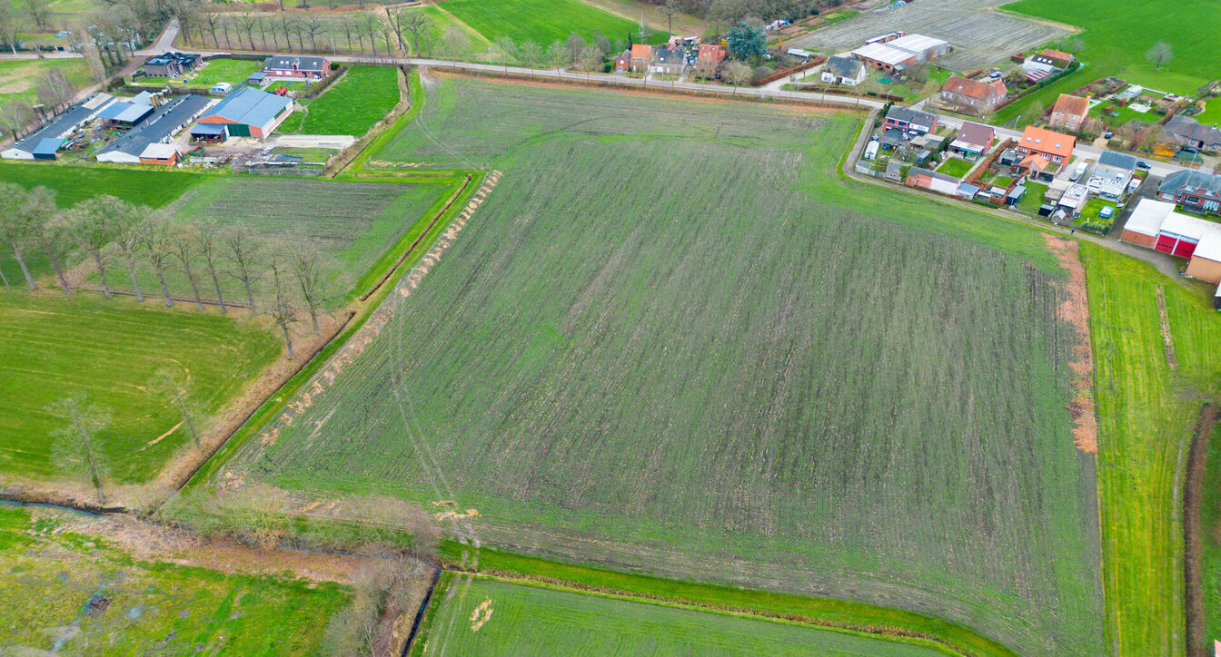 Landbouwgrond te koop in Oud-Turnhout