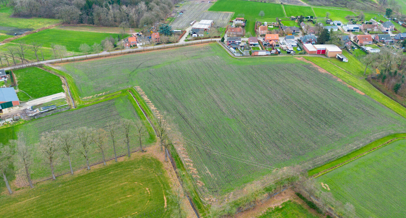 Landbouwgrond te koop in Oud-Turnhout