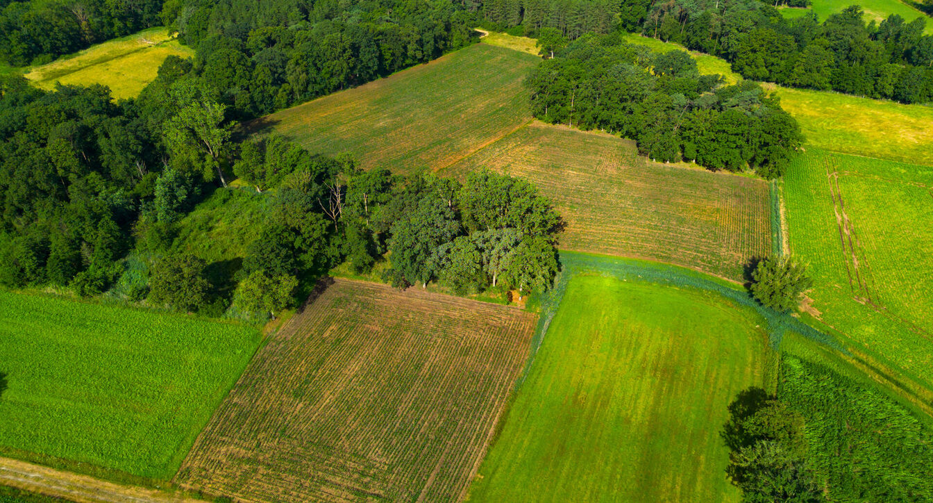 Landbouwgrond te koop in Oud-Turnhout