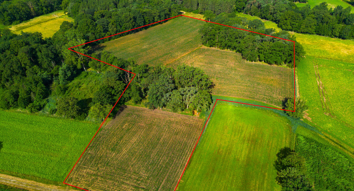 Landbouwgrond te koop in Oud-Turnhout