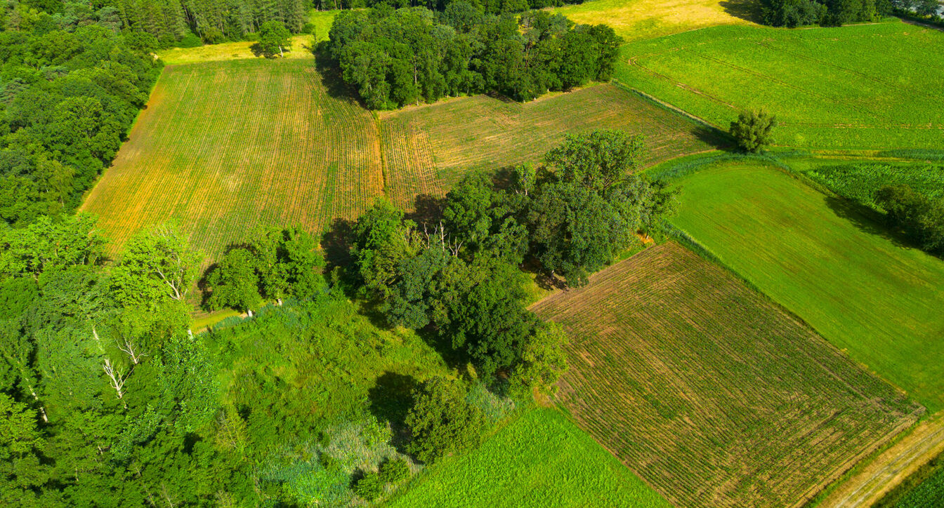 Landbouwgrond te koop in Oud-Turnhout