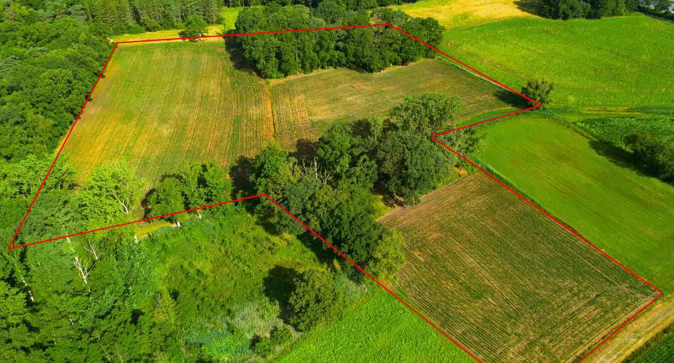 Landbouwgrond te koop in Oud-Turnhout