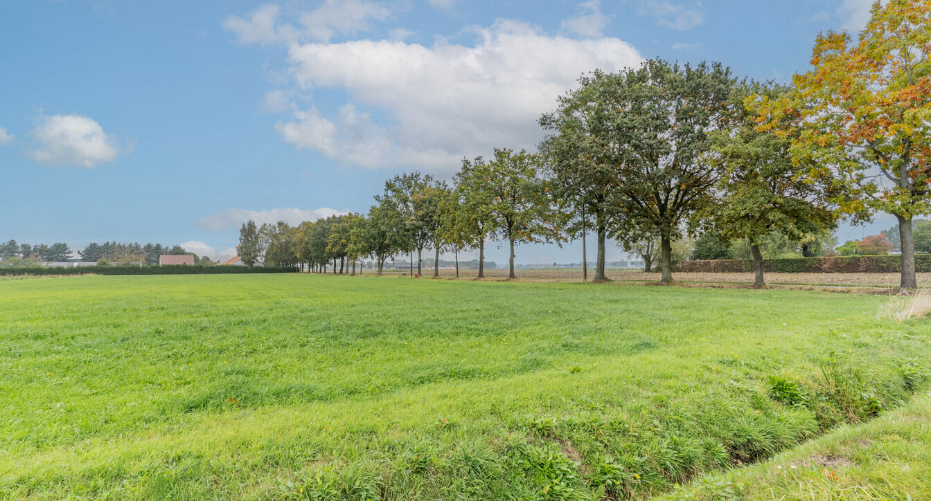 Landbouwgrond te koop in Retie