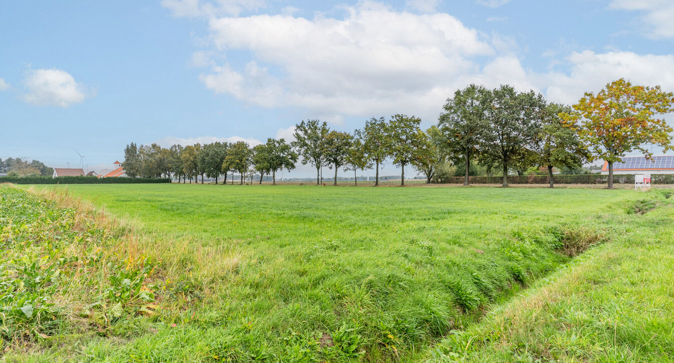 Landbouwgrond te koop in Retie