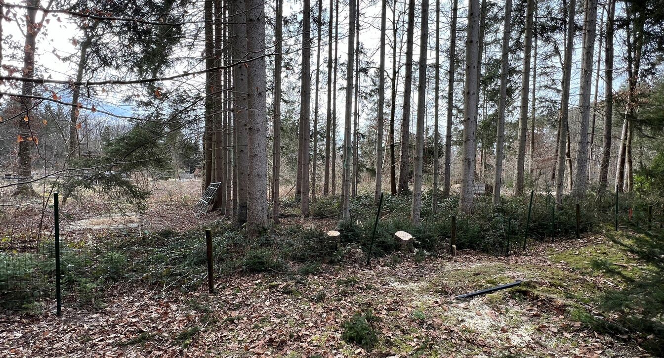Recreatief terrein te koop in Erezée