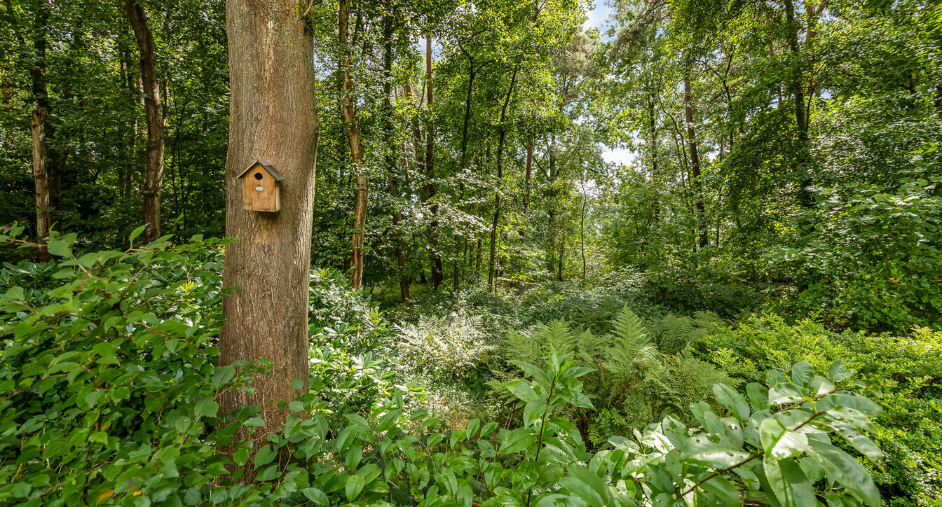 Villa te koop in Retie