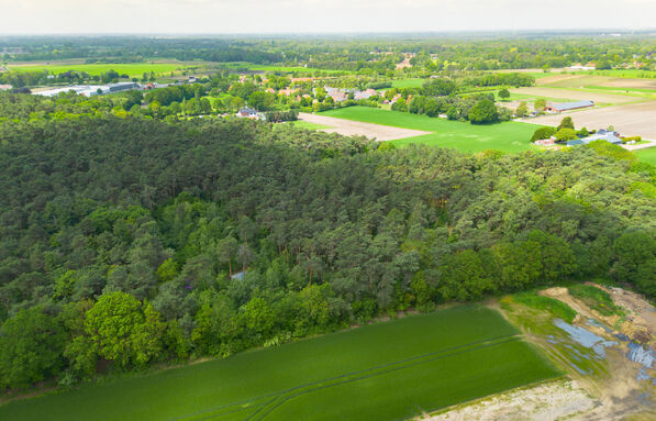 Bos te koop in Kasterlee