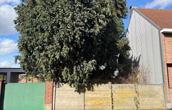 Bouwgrond (projecten) te koop in Vosselaar