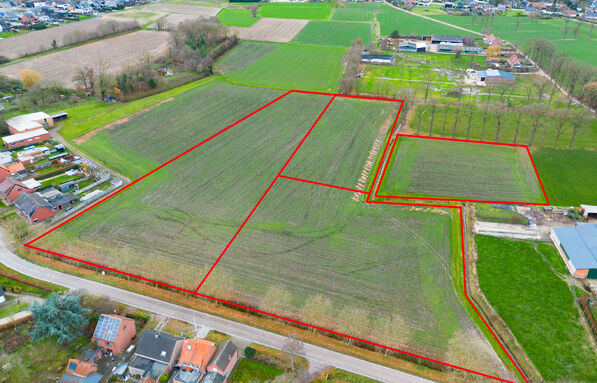 Landbouwgrond te koop in Oud-Turnhout