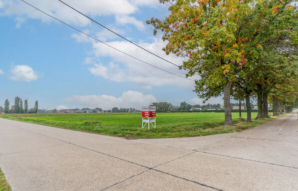 Landbouwgrond te koop in Retie